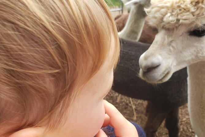 Guided Lilymoore Alpaca Farm Tour - Is $16.95 good value for an hour?