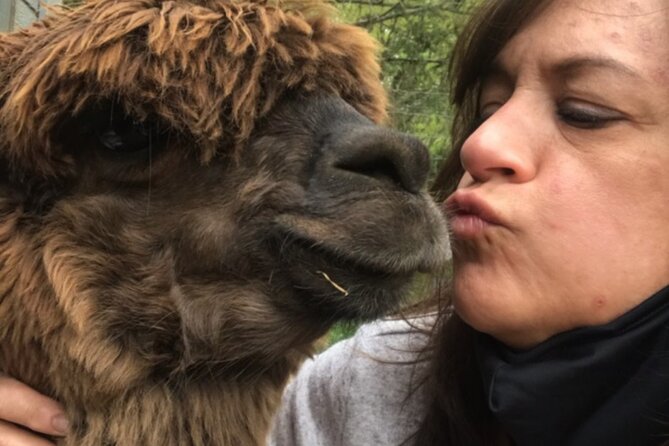 Guided Lilymoore Alpaca Farm Tour - Who will enjoy this farm tour most?