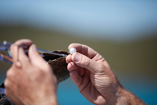 Guided Paspaley Pearl Farm Tour with Return Transfers - Key points about the Broome pearl farm tour