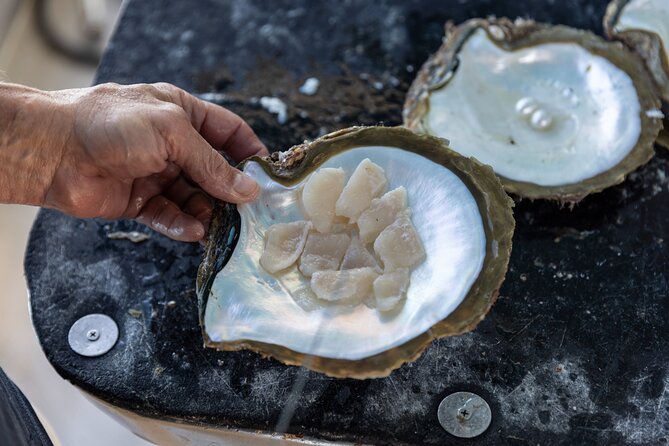 Guided Paspaley Pearl Farm Tour with Return Transfers - Pearl meat canapes and champagne at the boutique