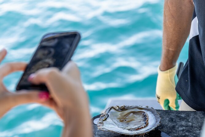 Guided Paspaley Pearl Farm Tour with Return Transfers - Morning or afternoon: choosing your timing