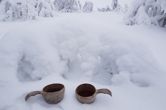 Guided reindeer farm visit and one hour sledge safari - Timing, weather, and cancellation