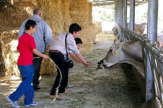 Guided tour from Agrigento: Sicilian traditions with a farm - From Agrigento to the Sicani mountains