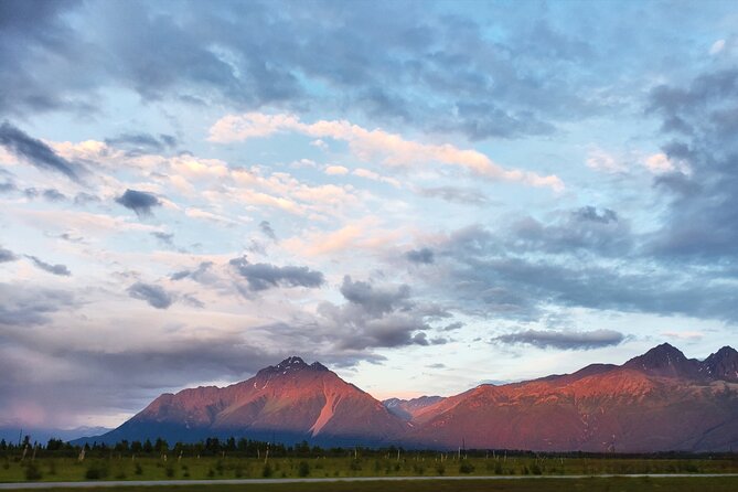 Guided Tour of Musk Ox Farm & Scenic Drive from Anchorage - Why musk oxen are worth the short trip