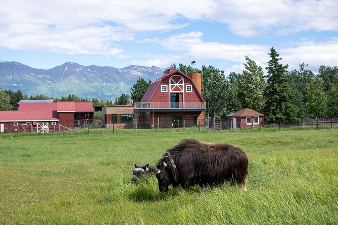 Guided Tour of Musk Ox Farm & Scenic Drive from Anchorage - Simple tips for a better visit