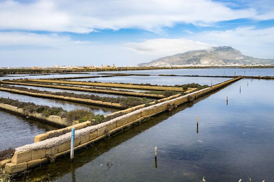 Guided tour of the Marsala Salt Pans and salt harvesting - Why Marsala’s salt pans are worth your time