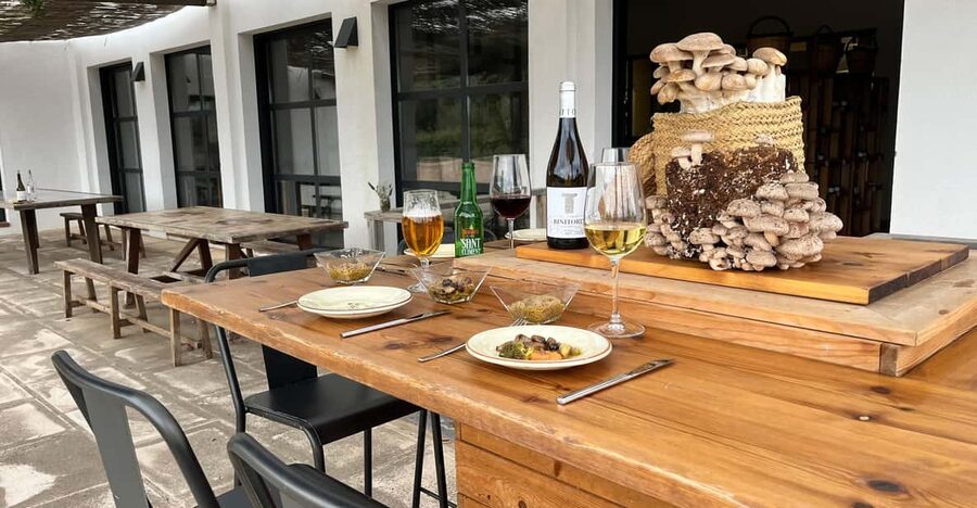 GUIDED TOUR + TASTE IN A MUSHROOM FARM - Key things to know before you go