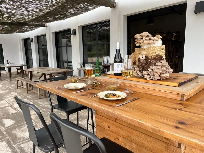 GUIDED TOUR + TASTE IN A MUSHROOM FARM - Why this mushroom tour is different from a normal farm visit