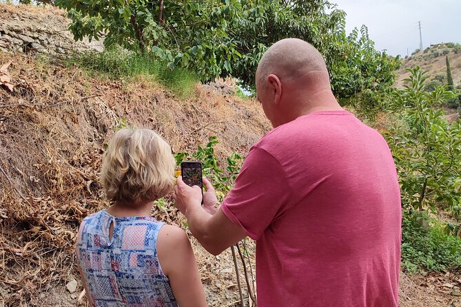 Guided Tour to the only coffee farm in Europe - The slope, the sun, and what to wear