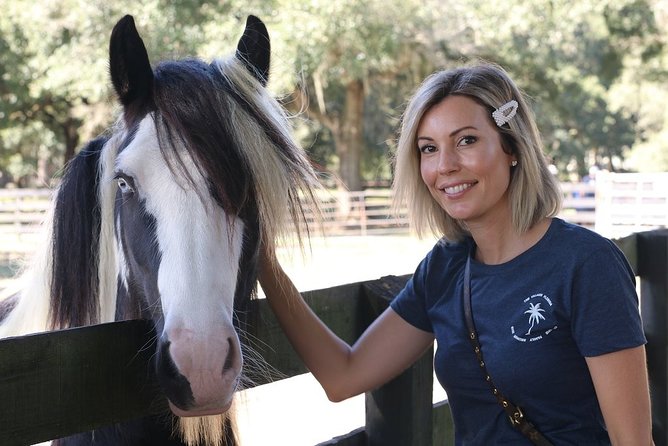 Gypsy Gold Horse Farm Tour - The Second Hour: Ancient Oaks, Spanish Moss, and Paddocks
