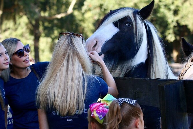 Gypsy Gold Horse Farm Tour - What the $55 Price Buys You