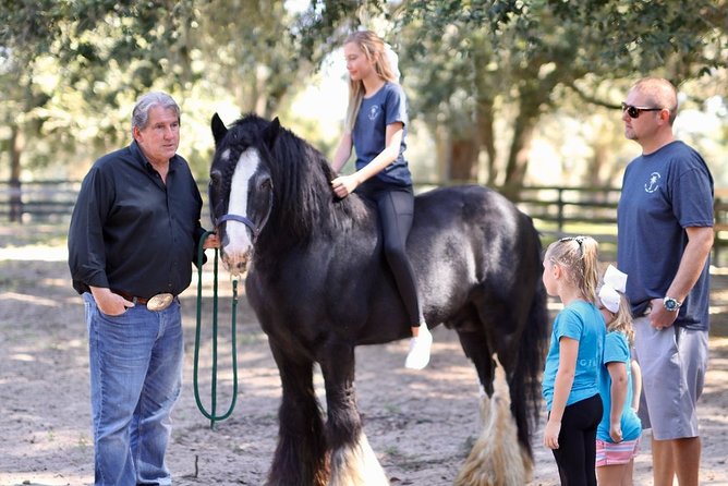 Gypsy Gold Horse Farm Tour - How the Experience Works for Families