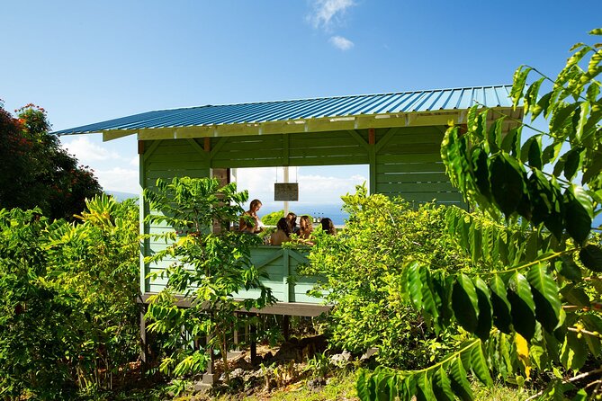 Hala Tree Coffee Farm Tour - A working farm, not a staged coffee show