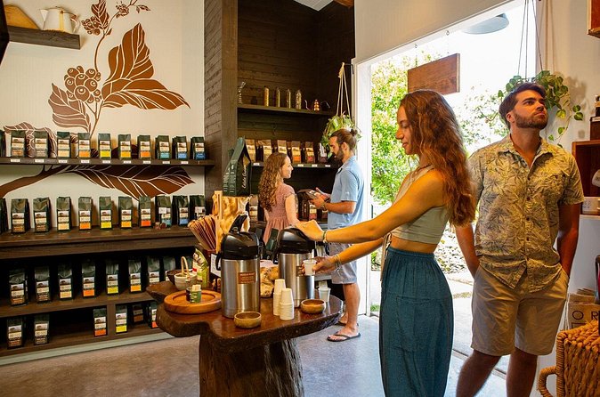 Hala Tree Coffee Farm Tour - The three-coffee tasting with an ocean view