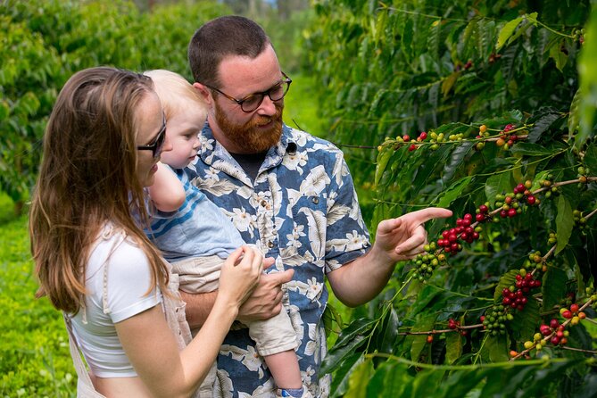Hala Tree Coffee Farm Tour - What the hour feels like