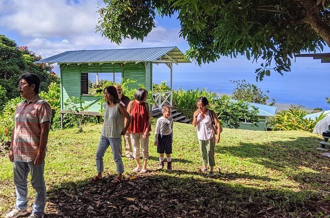 Hala Tree Coffee Farm Tour - When the short format is a drawback