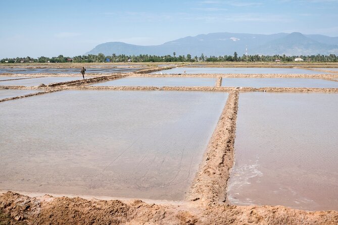 Half-Day Adventure to the Pepper Farm by Scooter - Salt fields and the work behind Cambodia’s salt