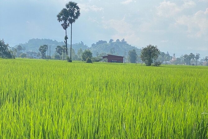 Half-Day Adventure to the Pepper Farm by Scooter - Inside a Kampot pepper farm