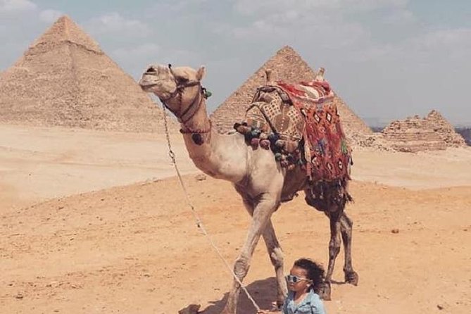 Half-Day Egypt Countryside Farm Tour. - Practical advice before you book