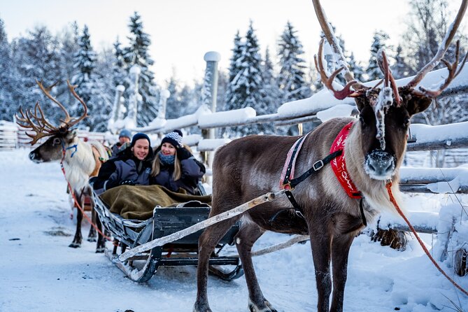 Half-Day Experience in Local reindeer farm in Lapland - Pancakes, hot chocolate, and local stories