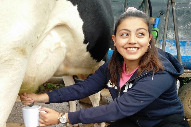 Half-Day Farm Visit and Cow Milking Experience - Why this Terceira farm visit feels different