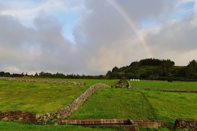 Half-Day Farm Visit and Cow Milking Experience - Ten and a half miles along farmers’ roads