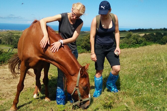 Half-Day Farm Visit and Cow Milking Experience - Milking a cow by hand in the pasture