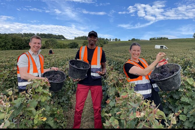 Half Day Grape Harvest Experience with Tasting in Epernay - Key things to know before booking