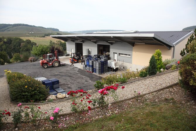 Half Day Grape Harvest Experience with Tasting in Epernay - A small group led by G