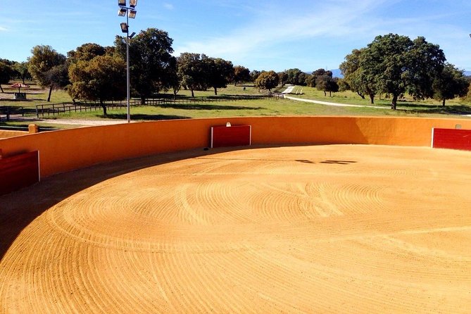 Half-Day Guided Tour to a bull farm in Madrid - Key points to know before booking