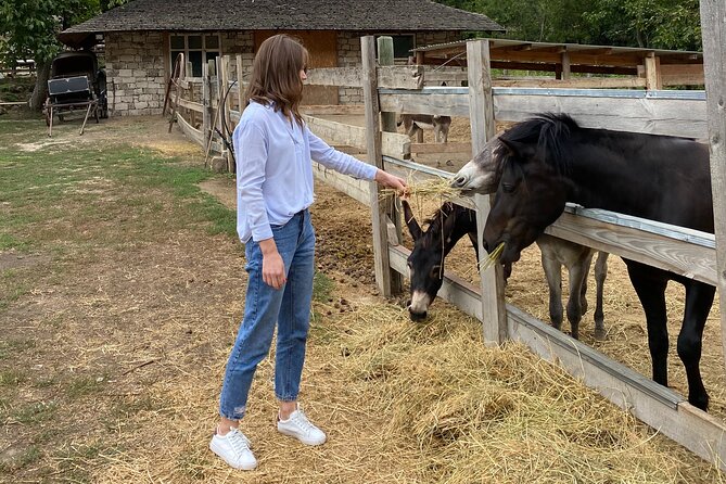 Half-Day Private Guided Tour of Orheiul Vechi and a Farmhouse - Should you book the Orheiul Vechi and farmhouse tour?