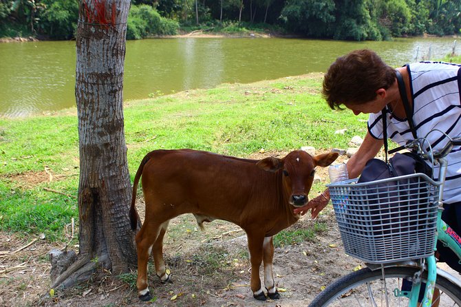 Half Day Ride Bike To The Farm and Cooking Activity with Foot Massage - Who should book this day?