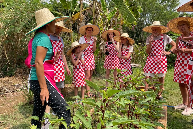 Half-Day Thai Cooking Class at Organic Farm in Chiang Mai - Key things to know before you book