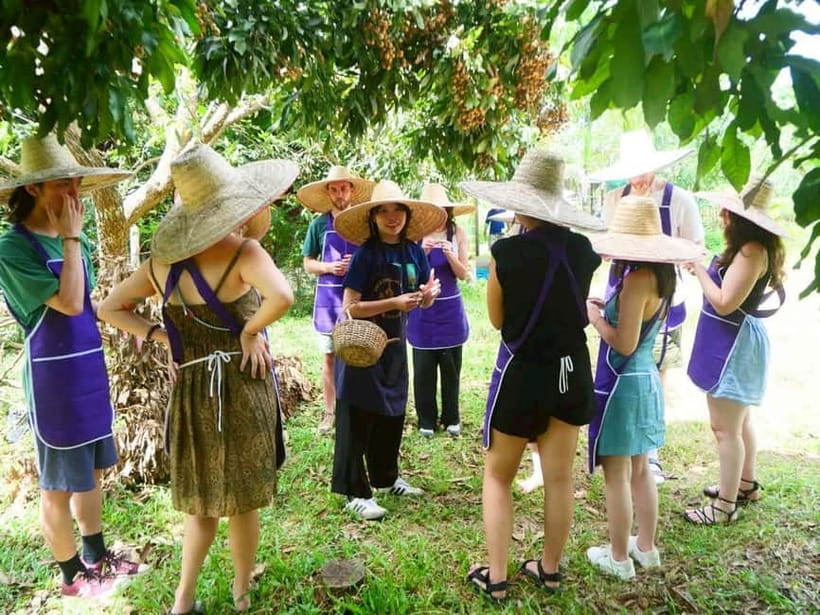 Half-Day Thai Cooking Class on a Local Farm Near Chiang Mai - From Chiang Mai streets to a local market