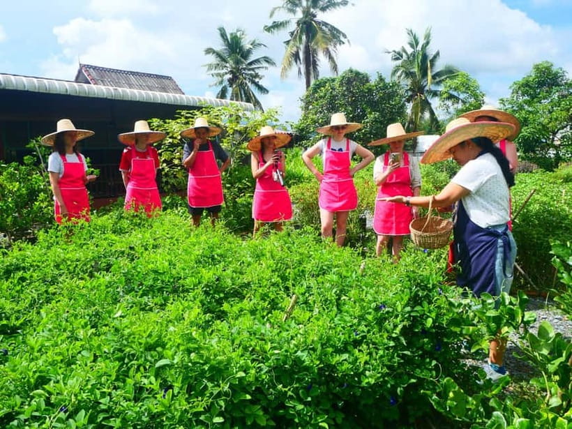 Half-Day Thai Cooking Class on a Local Farm Near Chiang Mai - Poolside downtime after the cooking