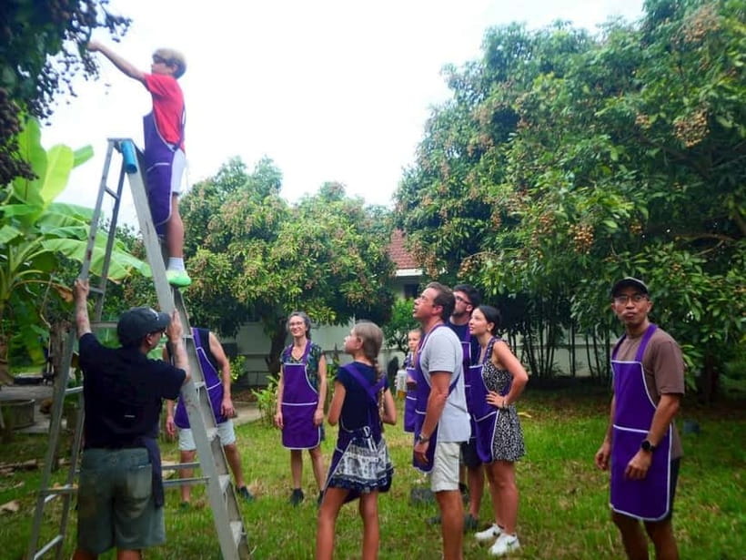 Half-Day Thai Cooking Class on a Local Farm Near Chiang Mai - The farm garden and the ingredients behind Thai cooking