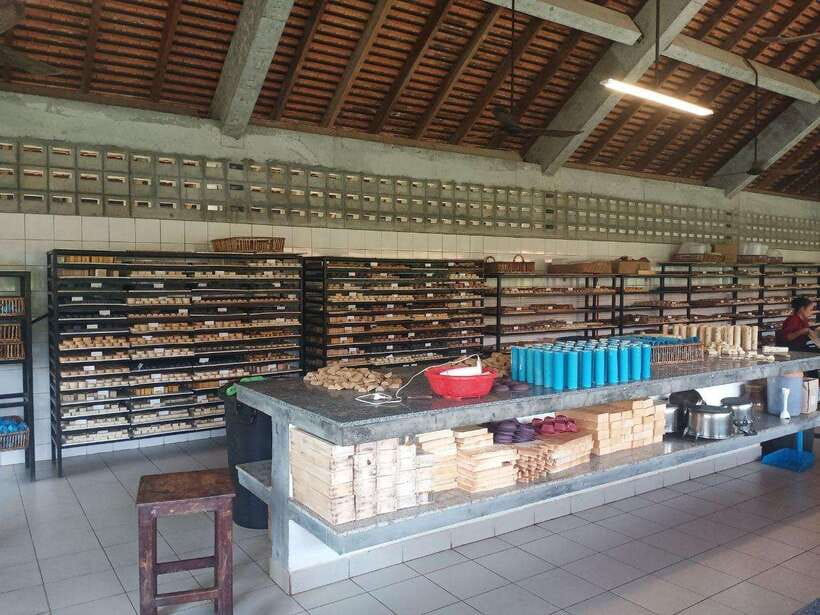Half Day Trip: Silk Farm, Satcha, and Senteur d'Angkor Tour - Artisan d’Angkor and the final look at local handicrafts
