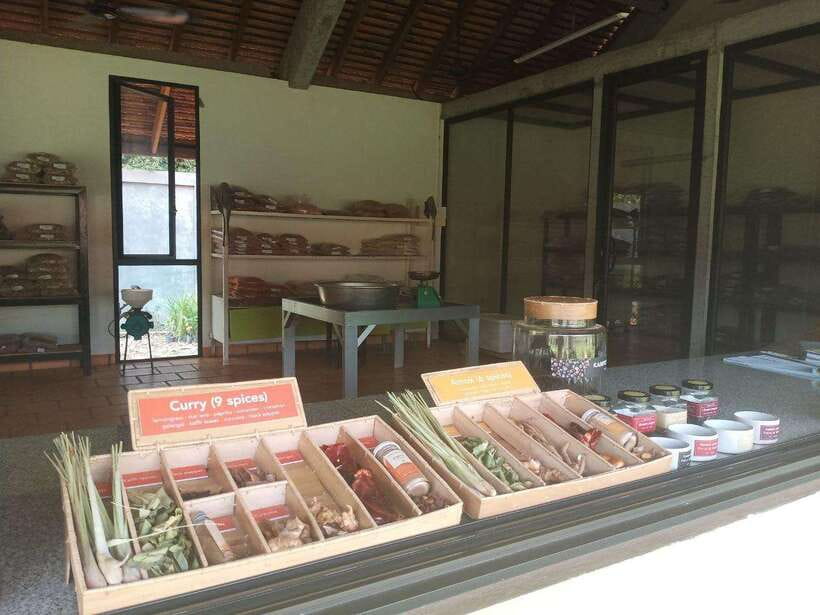 Half Day Trip: Silk Farm, Satcha, and Senteur d'Angkor Tour - Timing, comfort, and simple preparation