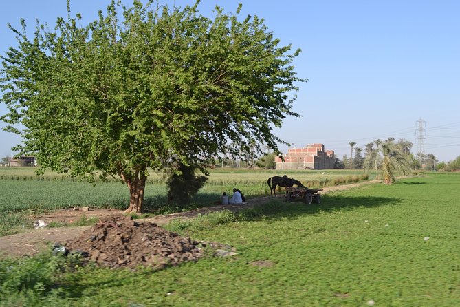 Half-Day Trip to Egyptian Green Farm from Cairo with Breakfast - Who should book this morning