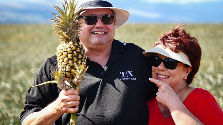 Hali'imaile: Pineapple Farm Tour - Key points to know before you go