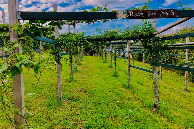 Hamakua Coast Farm Small-Group Walking and Tasting Tour - Key points about the Nakihalani Farm tour