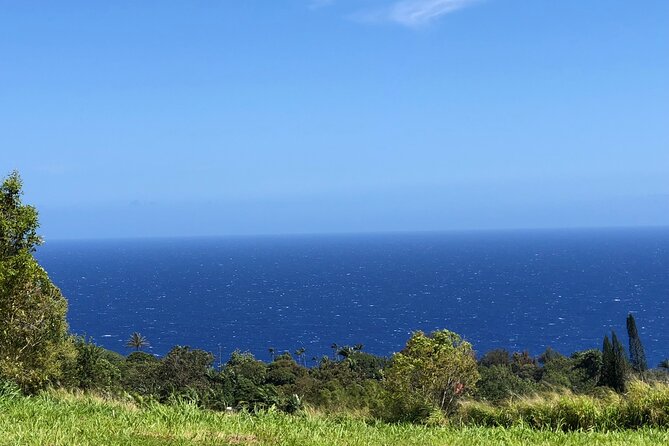 Hamakua Coast Farm Small-Group Walking and Tasting Tour - Starting at 10 a.m. on Kihalani Homestead Road