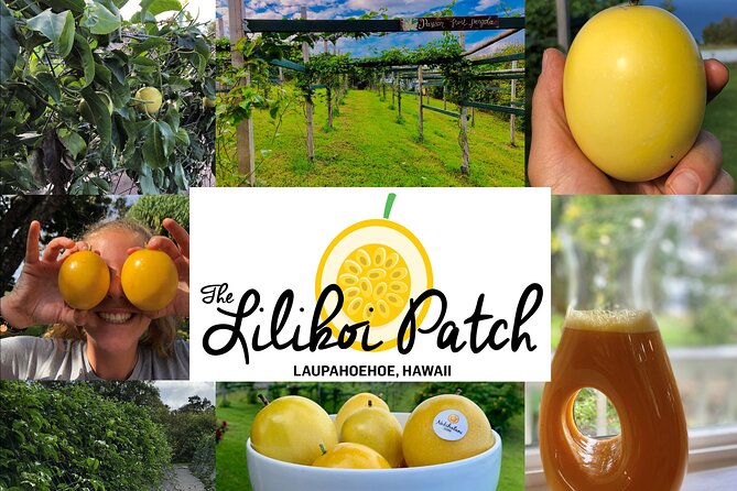 Hamakua Coast Farm Small-Group Walking and Tasting Tour - The large lilikoi structures are the visual centerpiece