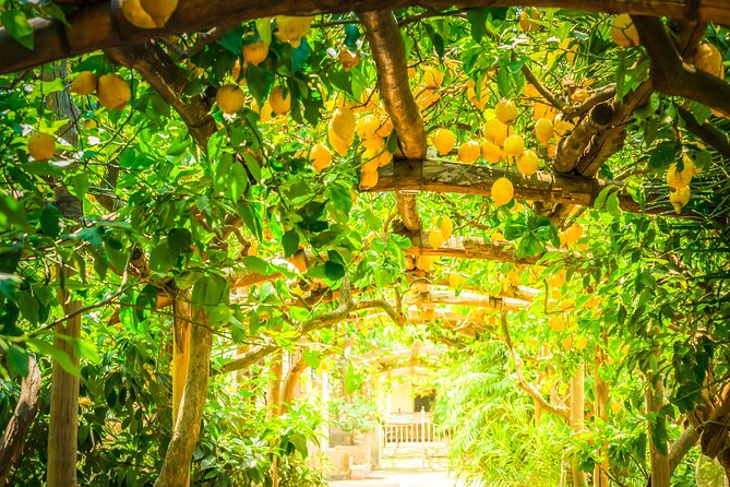 Hands-On Cooking Class & Farmhouse Tour on the Amalfi Coast - Who will enjoy this most?
