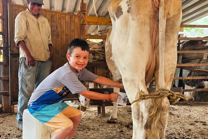 Hands-on Mexican Farm Experience: from Cow to Cheese - Starting with the farm’s daily work