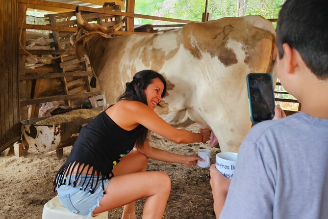 Hands-on Mexican Farm Experience: from Cow to Cheese - Preparing a horse for a short ride