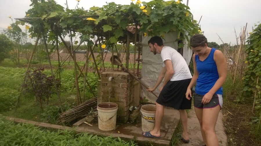 Hanoi Farm Tour and Cooking Class with Local Family - Should You Book This Farm and Cooking Tour?