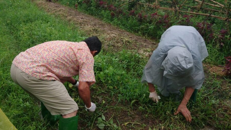 Hanoi: Village Farm Tour and Cooking Class with Lunch - What the eight-hour schedule feels like