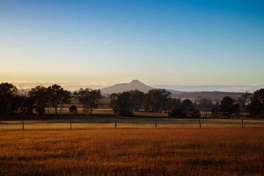 Harrisville: Summer Land Camel Farm Tour with Tasting - Meeting the camels in their pens