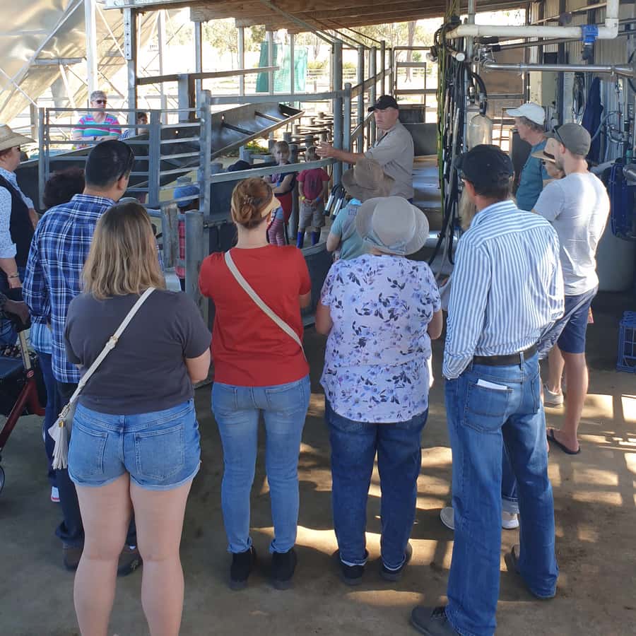 Harrisville: Summer Land Camel Farm Tour with Tasting - Tasting milk, cheese, and gelato